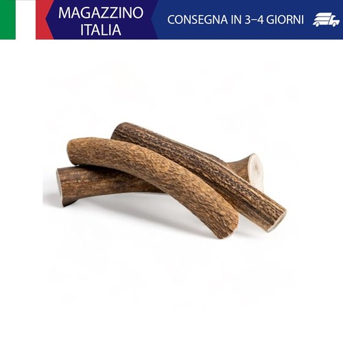 Corno cervo per cani - cervo,