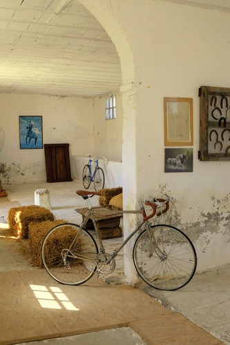 Bici corsa vintagebicycle - bici, da