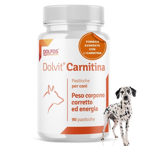 Carnitina per cani - cani, integratore