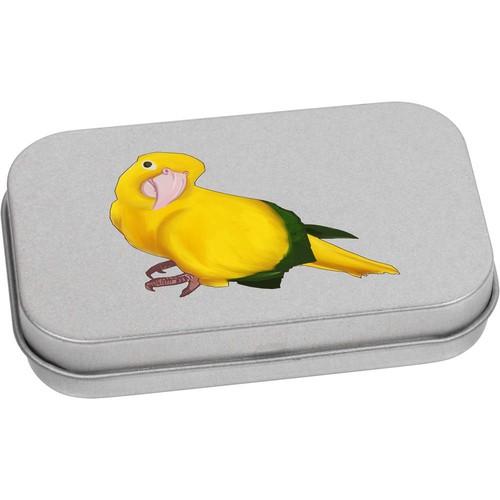 Golden conure parrot scatola - conure,