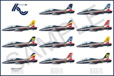 Aermacchi MB-339A Squadron