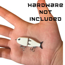 The Raptor Glide Bait Big Fish