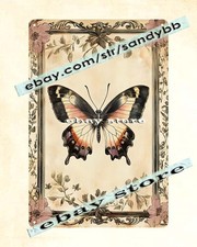 Insegna in metallo con cornice