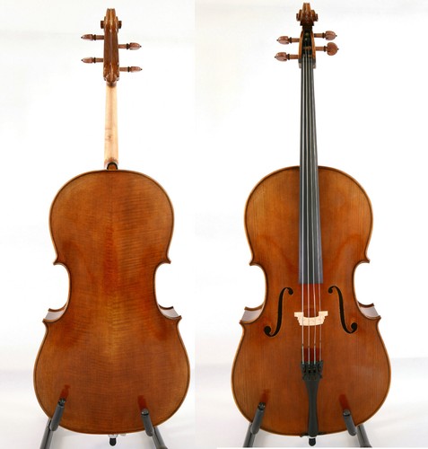 Violoncello master tono - 1/2,