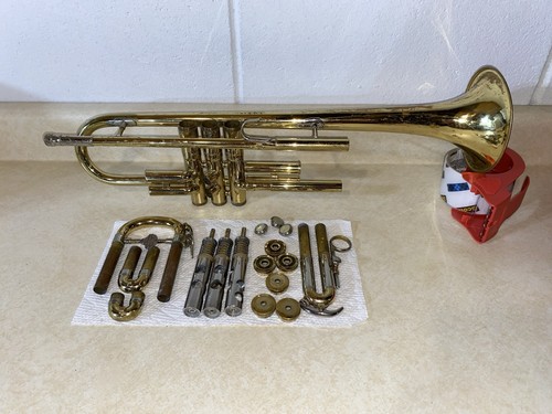 Holton collegiate tromba - collegiate,