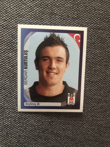 Figurina panini champions - figurina,