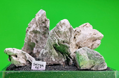 Seiryu ryuoh stone ada - stone,