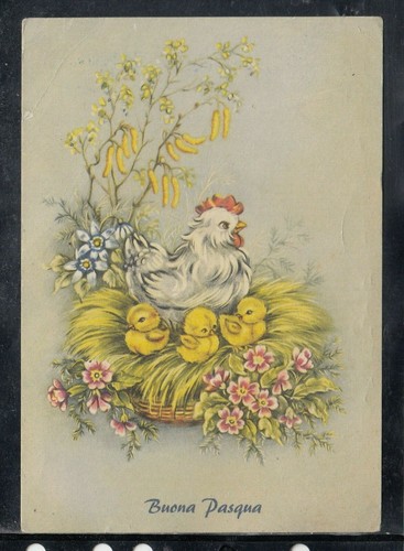Cartolina buona pasqua - cartolina,