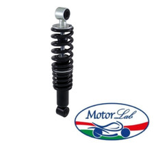 Ammortizzatore posteriore