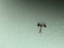 Angelus 210-215-217 Chronodato