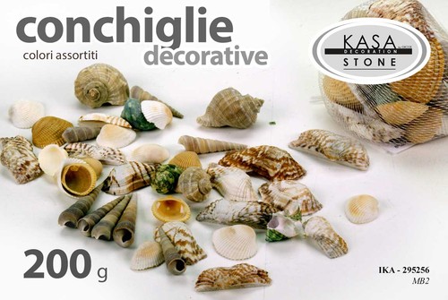Conchiglie marine decorative - conchiglie,