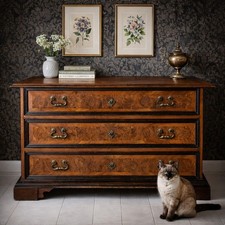 Cassettone barocco noce - cassettone, 3