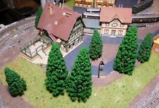 10 Abeti, Conifere , Je 5 Pezzo 95 E 150 MM Alto