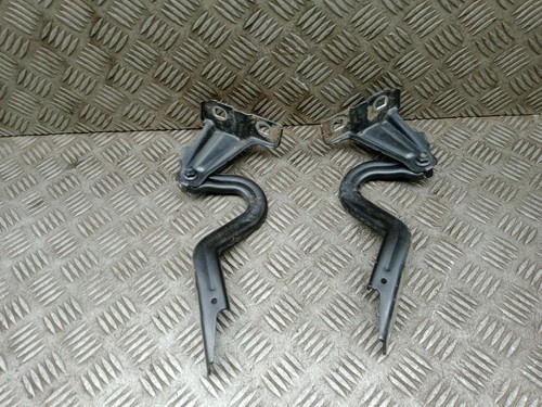 Coppia cerniere cofano - coppia,