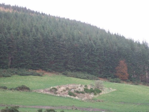 Photo 6x4 site ruined - 6x4,