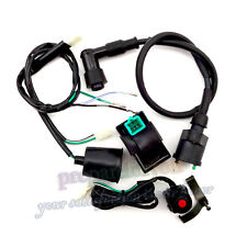 Bobina accensione interruttore kill cablaggio telaio AC CDI per pit dirt bike 50-160cc
