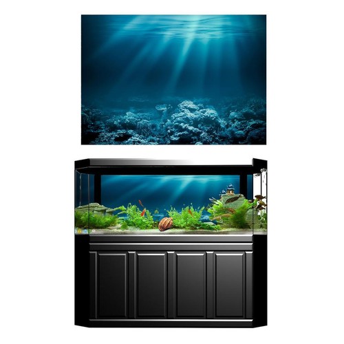 Acquario sfondo adesivo - acquario,
