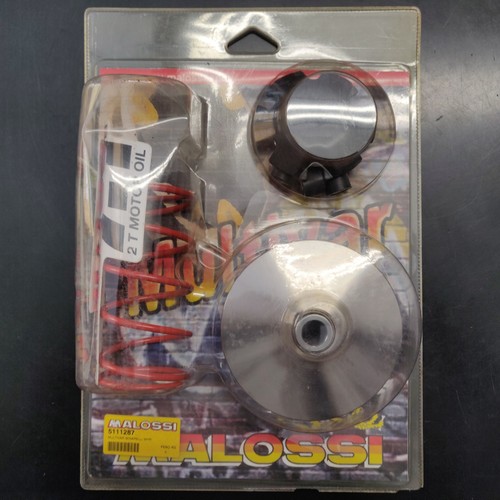 Variatore malossi mhr 5111287 - variatore,