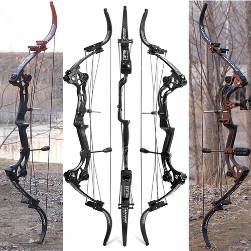 Arco composto libbre - 40-55,