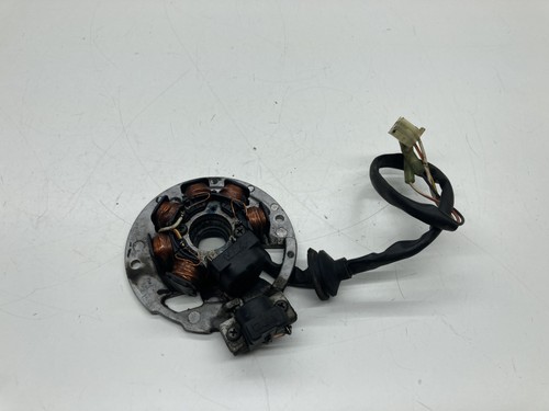 Statore alternatore magnete - alternatore,