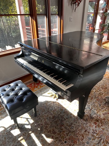 Steinway model baby grand - model,