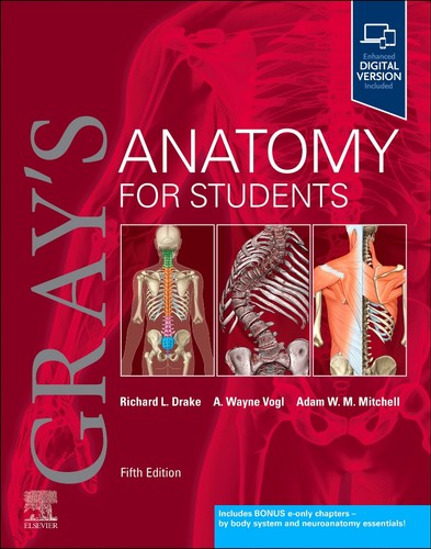 Gray anatomy for - for, students