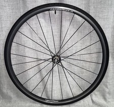 Ruota posteriore tubolare XLNT