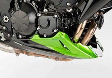 Parafango per Kawasaki Z750R