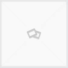 Niccolini Adimari Fiamma Provvedi Fosco: IL LIBRO D'ORO DEI PRIMI PIATTI ITAL...