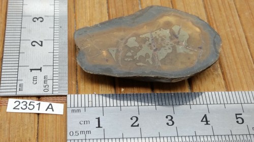 Moitié nodule septaria - moitié, de