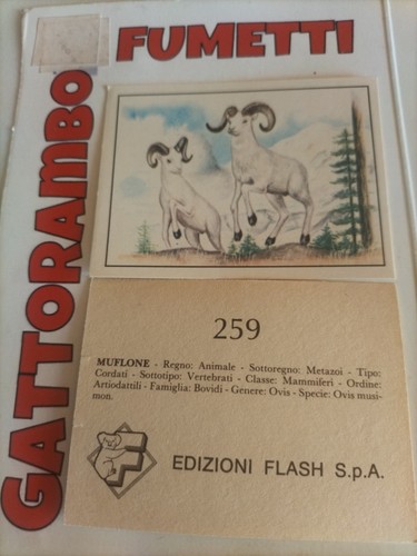Figurine zoo mappa della - figurine,