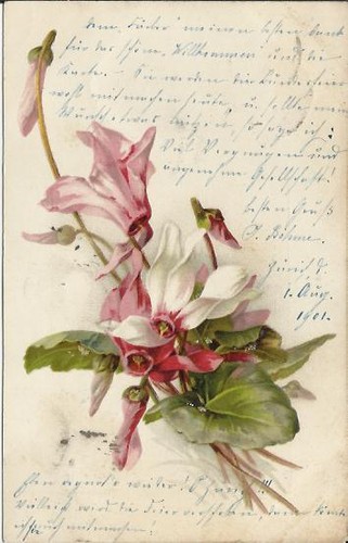 Stupenda cartolina svizzera - stupenda,