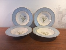 Wedgwood Sarah's Garden