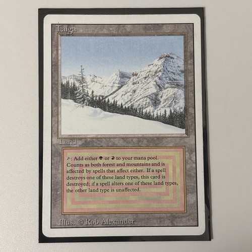 Taiga magic card revisionata - magic,