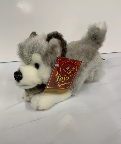 Nuovo storm siberian husky - storm,