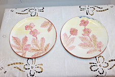 Coppia di piatti decorati a