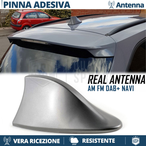 Antenna pinna squalo grigia - pinna, di