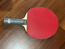 racchetta professionale da tennis tavolo