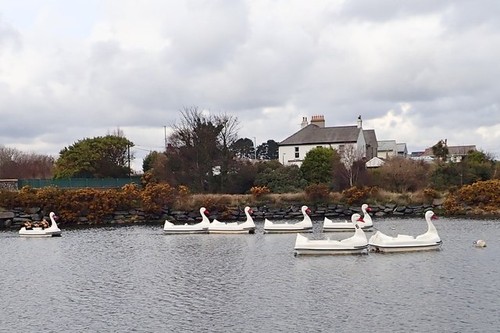 Photo 6x4 pedalo swans - photo, in