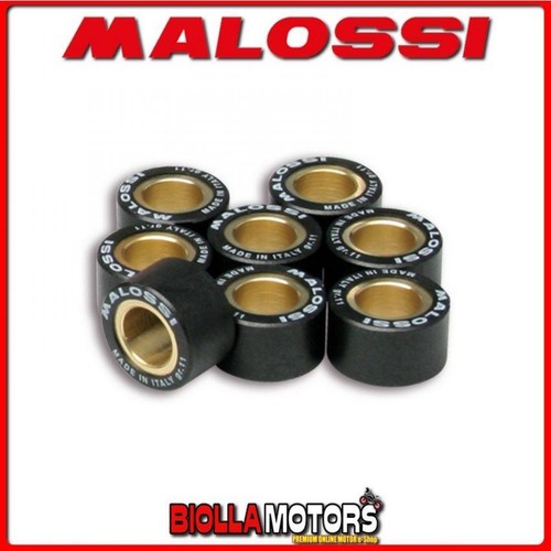 669919 rulli variatore - 669919.h0,