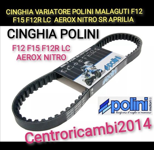 Cinghia variatore polini - cinghia,