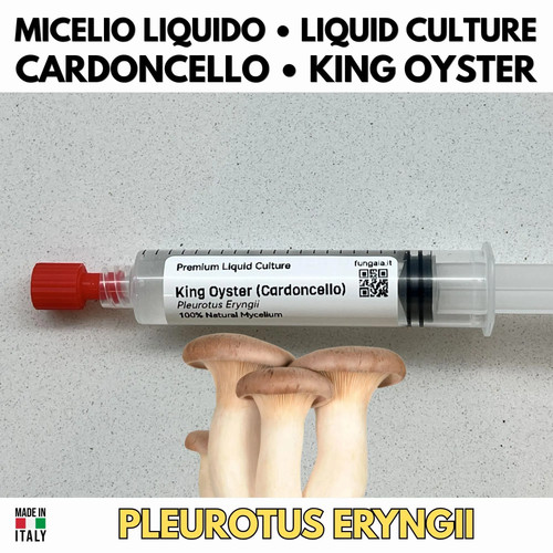 Abalone micelio vivo 10ml - vivo,
