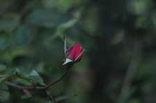 Obiettivo Pentax SMC Takumar