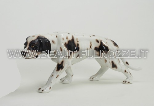 Cane dalmata pointer medio - cane,