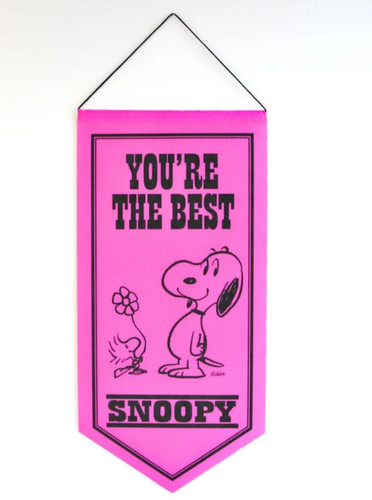 Retro peanuts snoopy - retro, pink