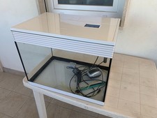 Acquario Askoll Pure 