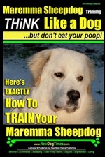 Maremma sheepdog training - maremma,