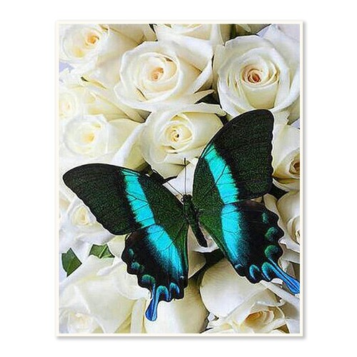 Dcidbe diy diamond - ,