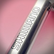 REGGISELLA  SHIMANO TEAM