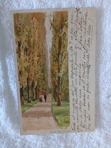 Cartolina illustratore - cartolina,